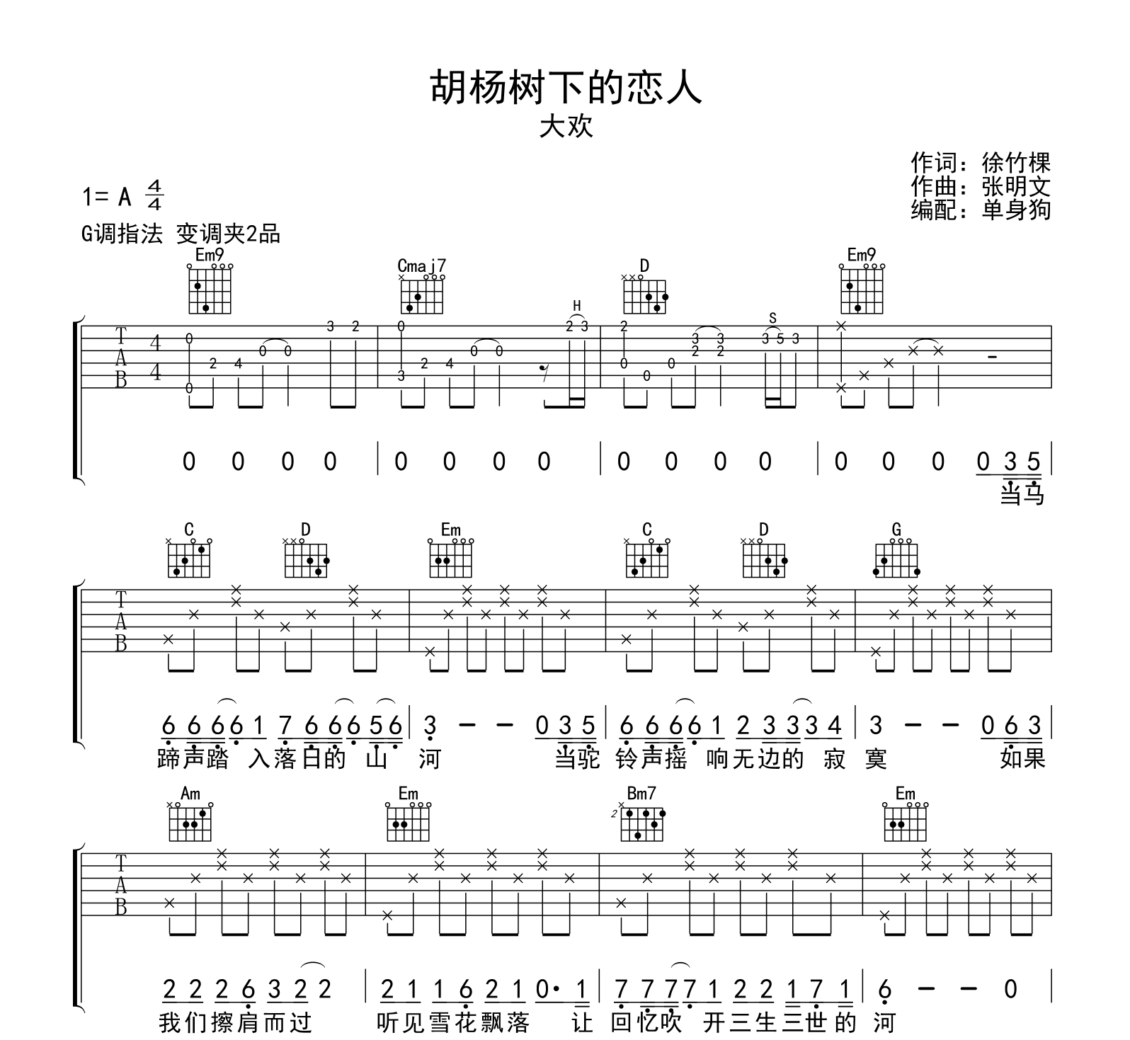 胡杨树下的恋人吉他谱-大欢-吉他帮