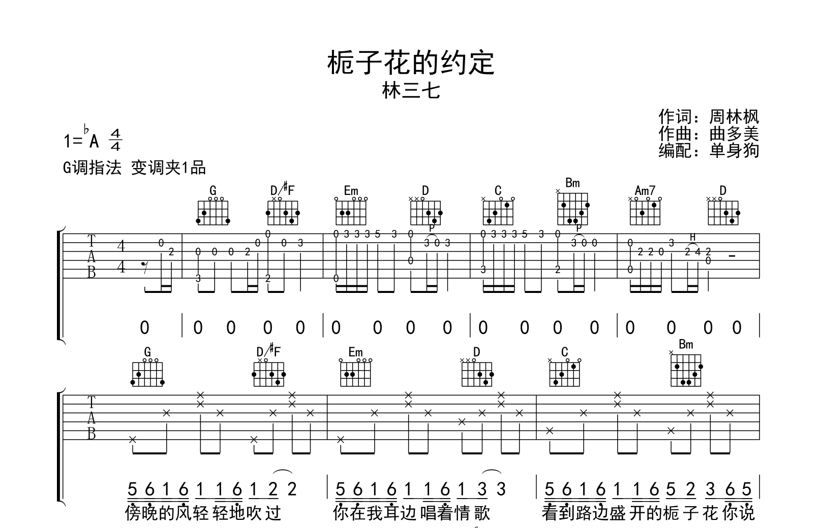 栀子花的约定吉他谱-林三七-G调弹唱六线谱