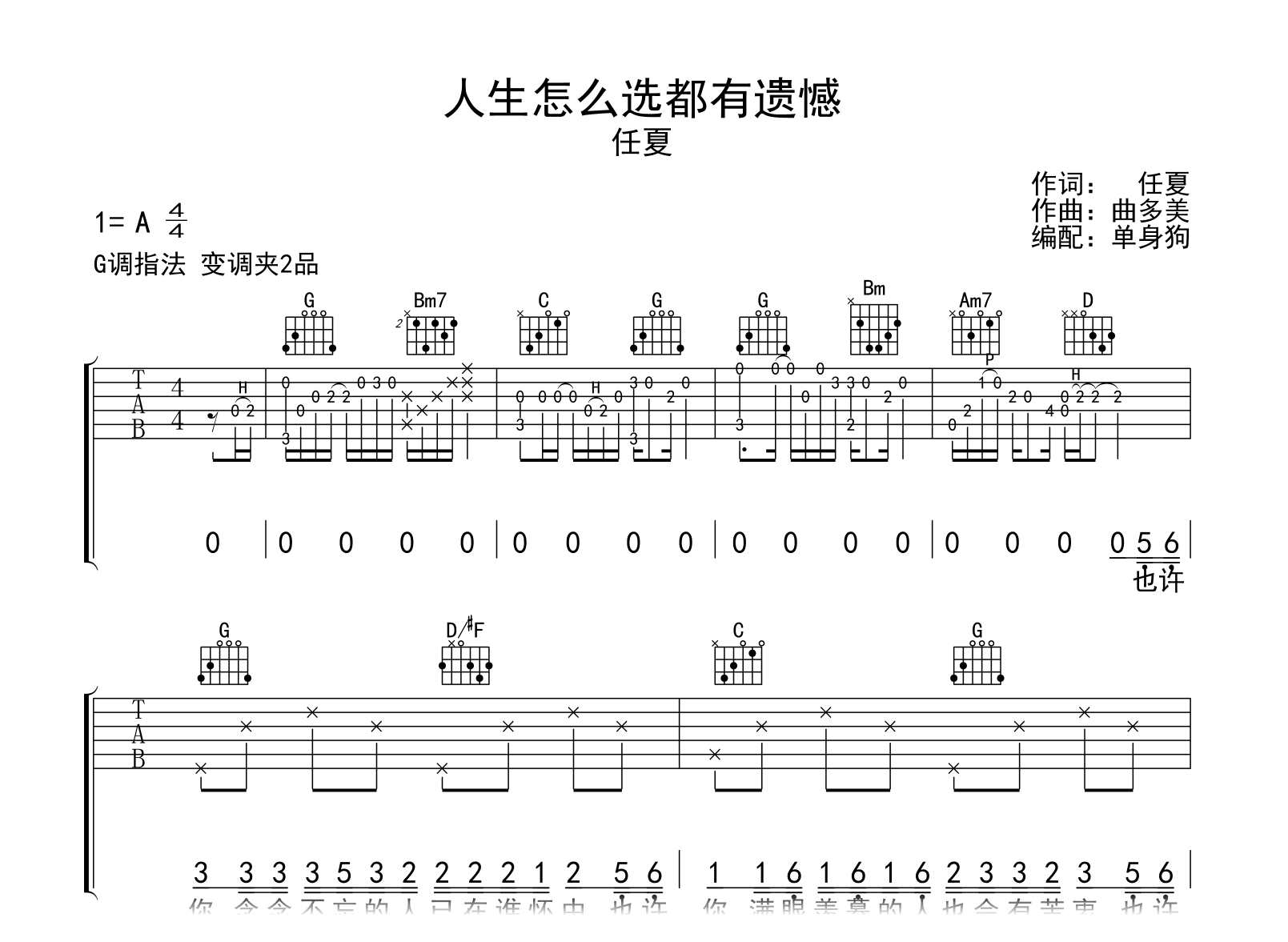 人生怎么选都有遗憾吉他谱-任夏-弹唱六线谱