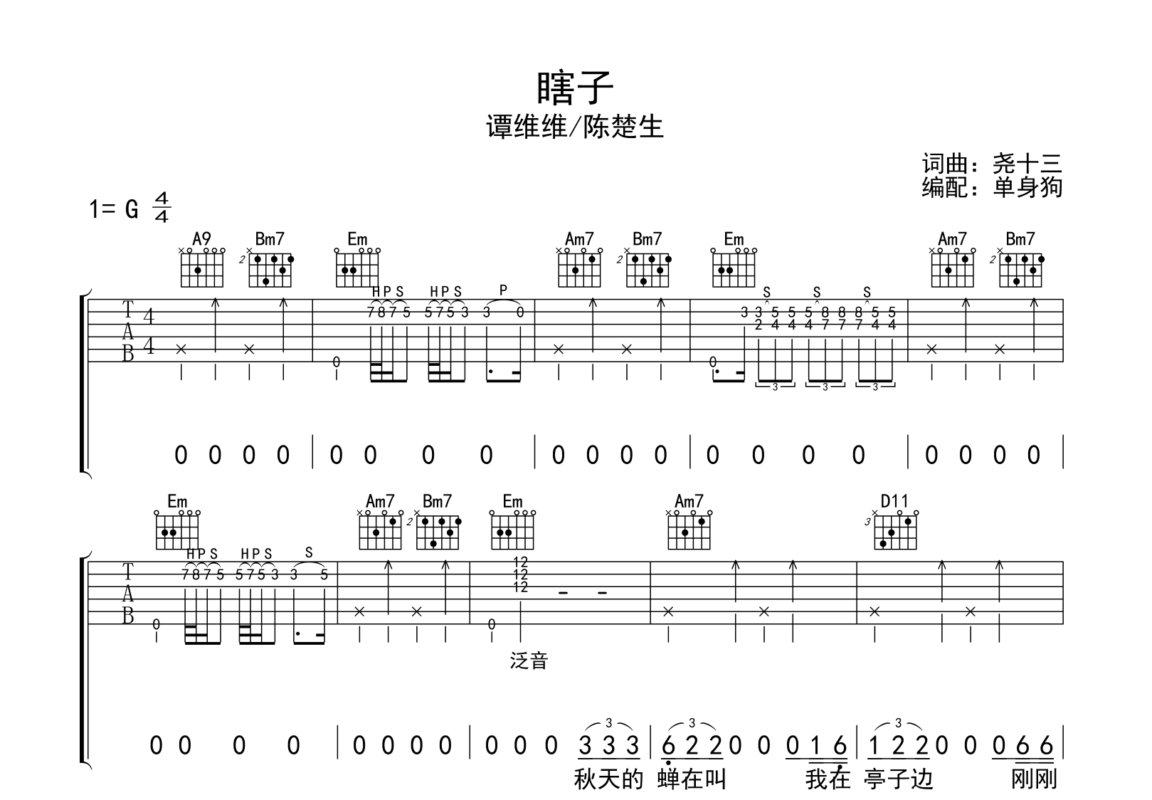 瞎子吉他谱-谭维维/陈楚生-G调弹唱谱-歌手2024